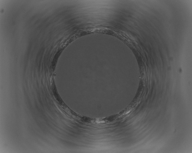 X0000073710607200608171140