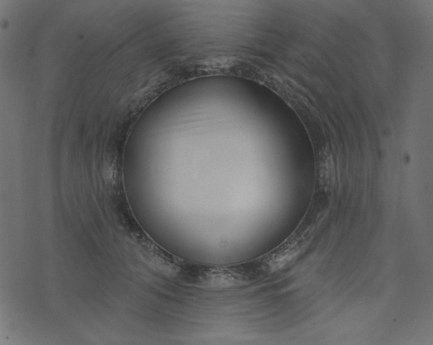 X0000073710608200608171140