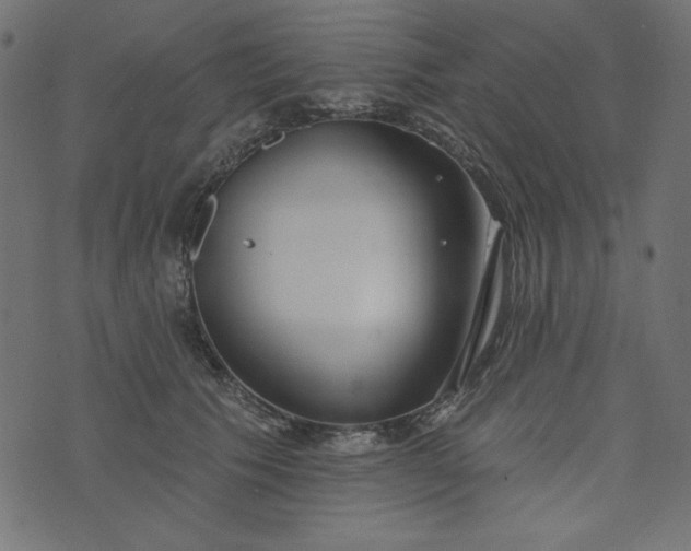 X0000073710609200608171140