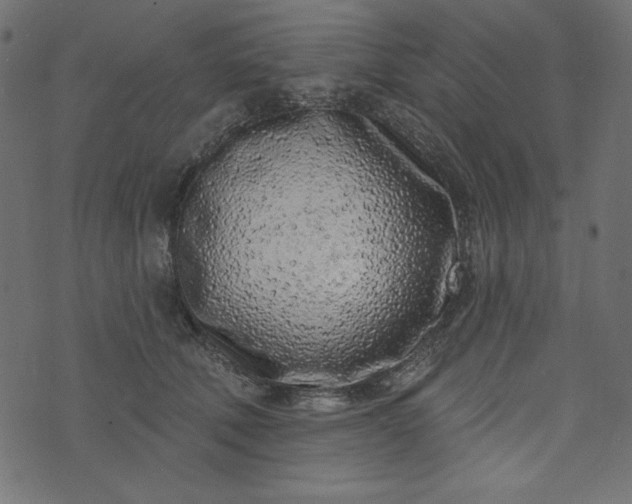 X0000073710610200608171140