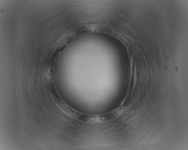 X0000073710611200608171140