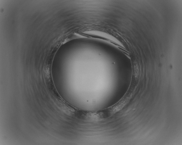 X0000073710613200608171140