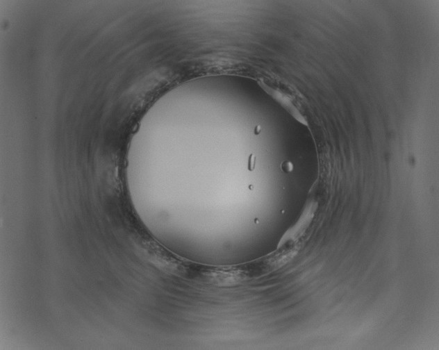 X0000073710615200608171140