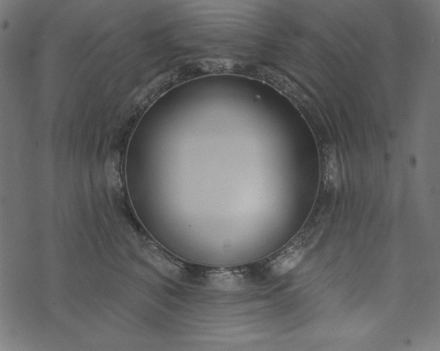 X0000073710616200608171140