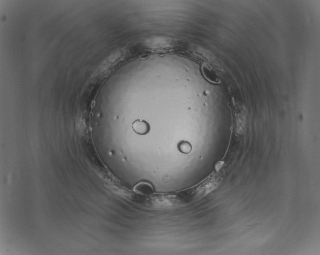 X0000073710618200608171140