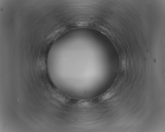 X0000073710620200608171140