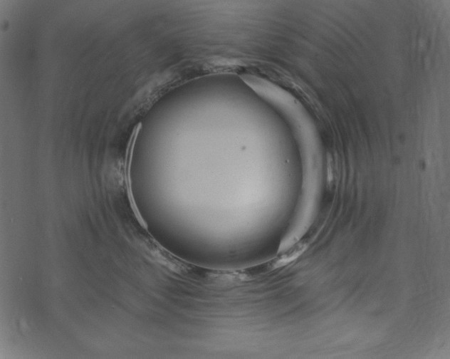 X0000073710621200608171140