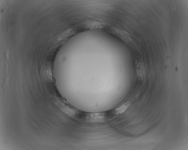 X0000073710622200608171140