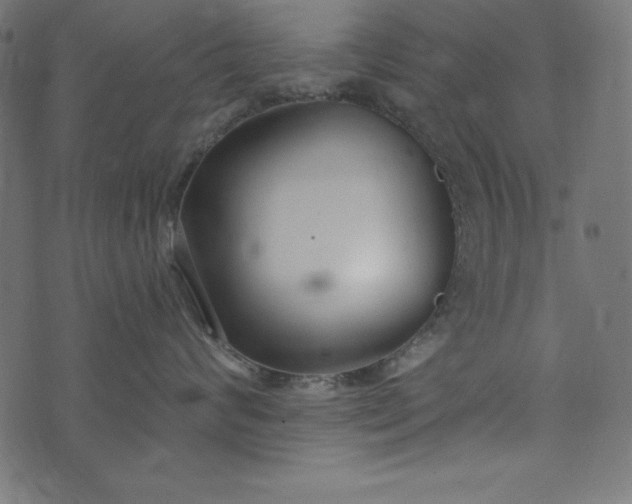 X0000073710624200608171139