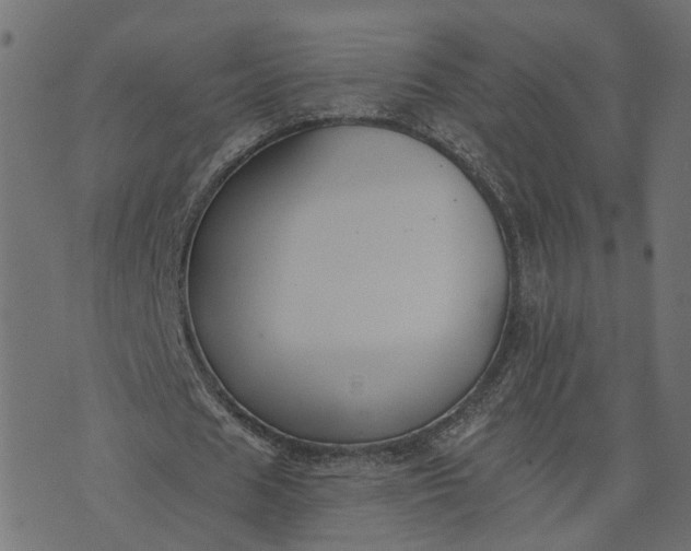 X0000073710625200608171139