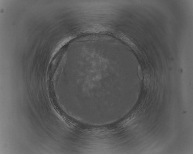 X0000073710626200608171139