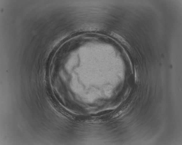 X0000073710627200608171139