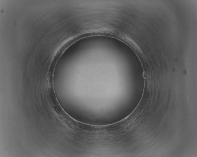 X0000073710628200608171139