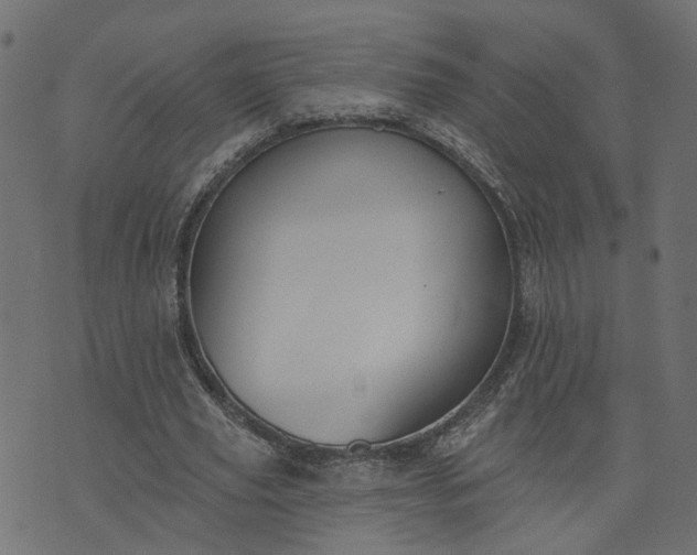 X0000073710629200608171139