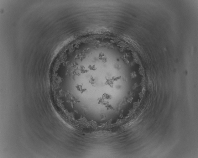 X0000073710630200608171139