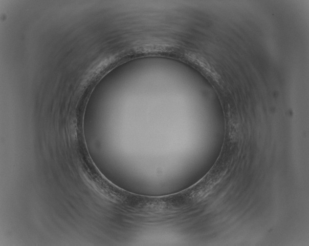 X0000073710631200608171139