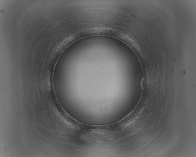 X0000073710633200608171139