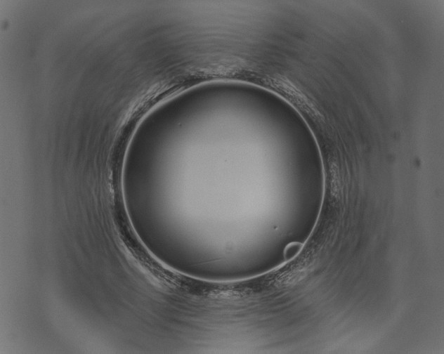 X0000073710634200608171139