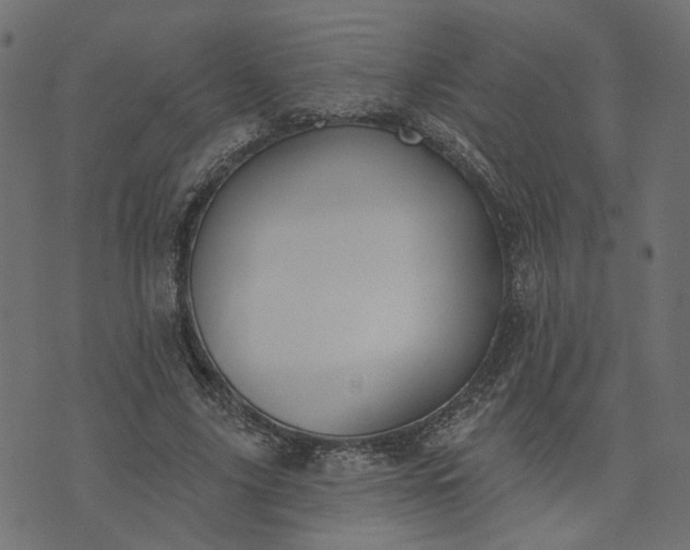 X0000073710635200608171139