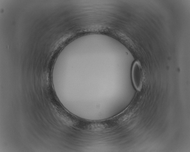 X0000073710636200608171139