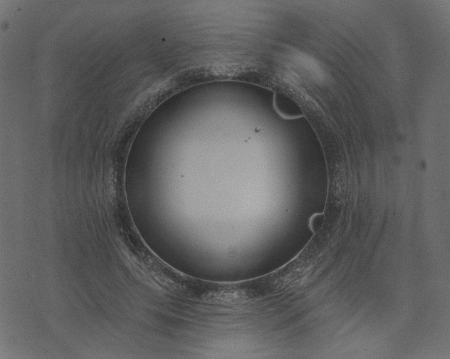 X0000073710639200608171139