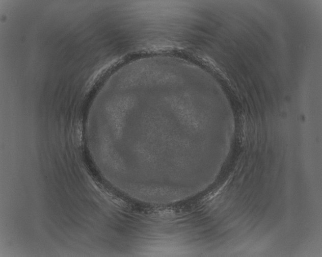 X0000073710640200608171139