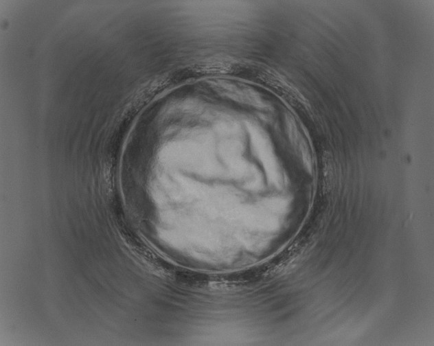 X0000073710641200608171139