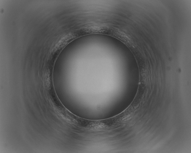 X0000073710642200608171139