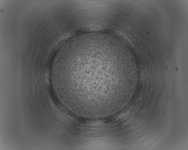 X0000073710643200608171139