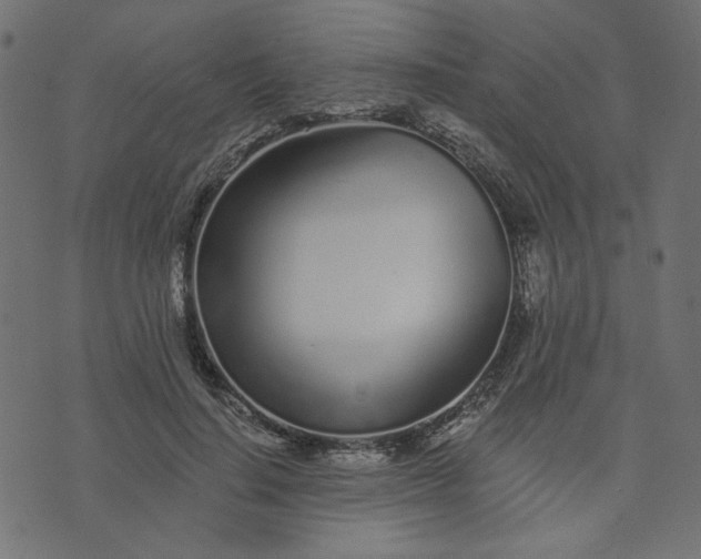 X0000073710644200608171139