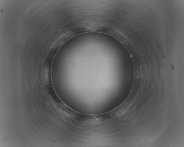 X0000073710646200608171139