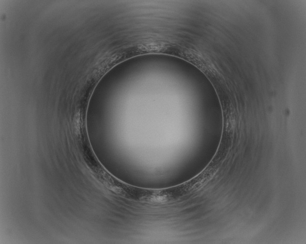 X0000073710647200608171139