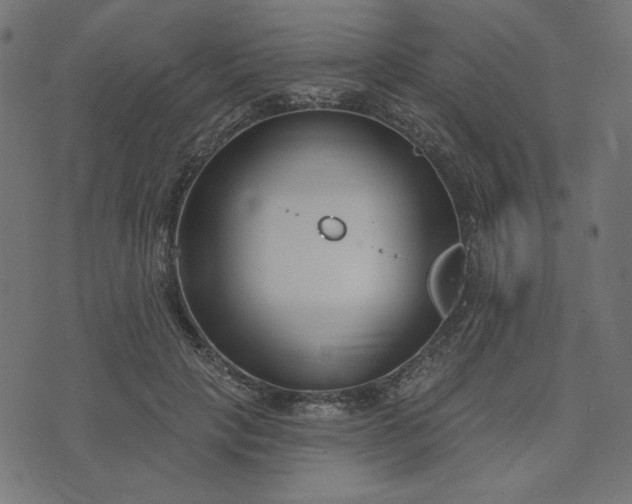 X0000073710649200608171139