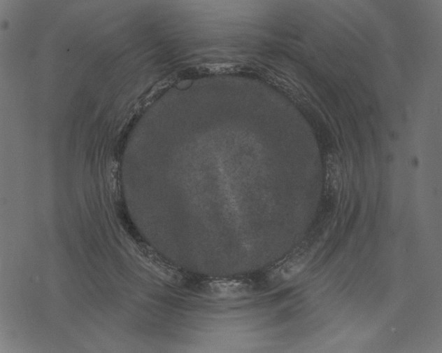 X0000073710650200608171139