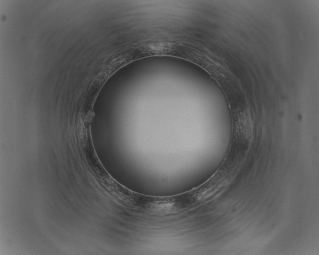 X0000073710651200608171139