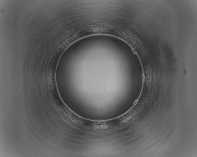 X0000073710653200608171139