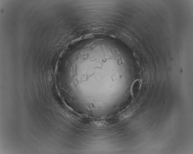 X0000073710654200608171139