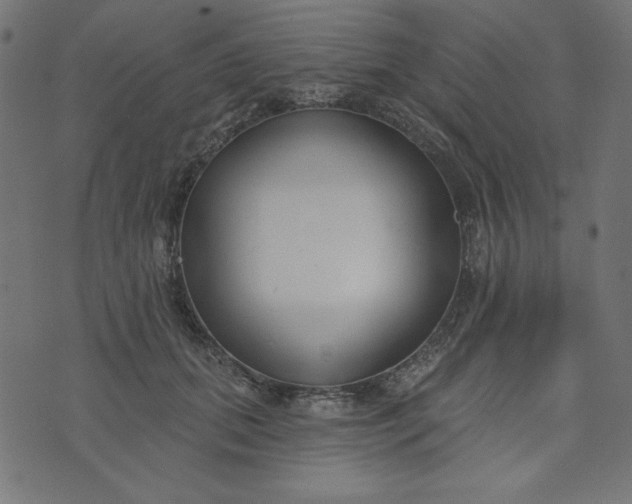 X0000073710655200608171139