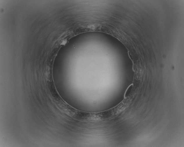 X0000073710656200608171139