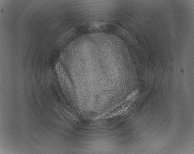 X0000073710659200608171139