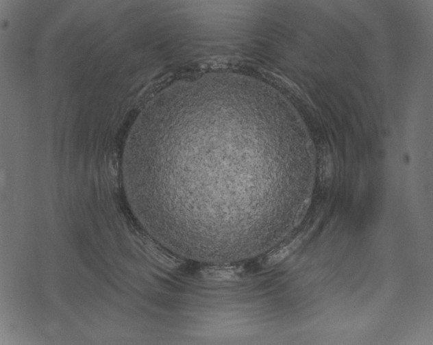 X0000073710661200608171139