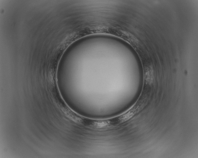 X0000073710662200608171139