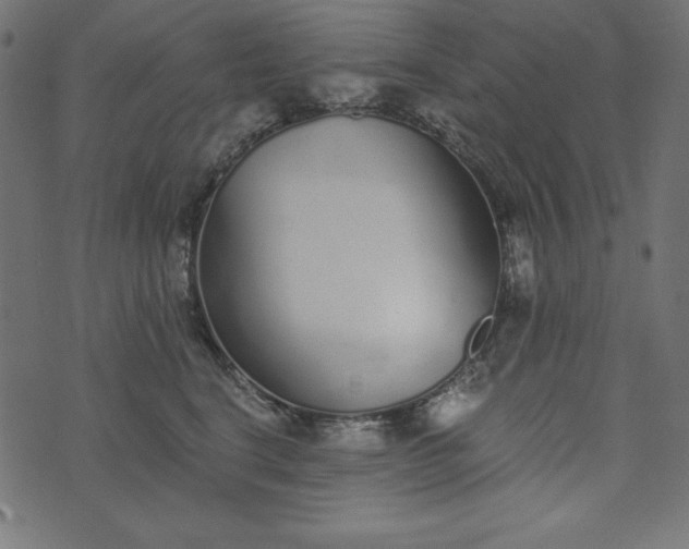 X0000073710664200608171139