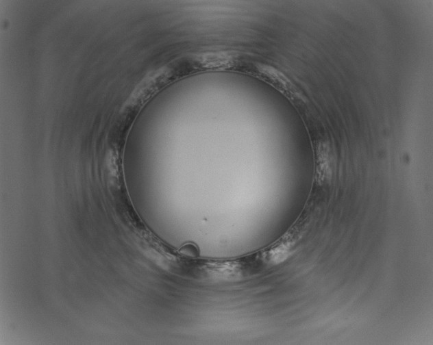 X0000073710667200608171139