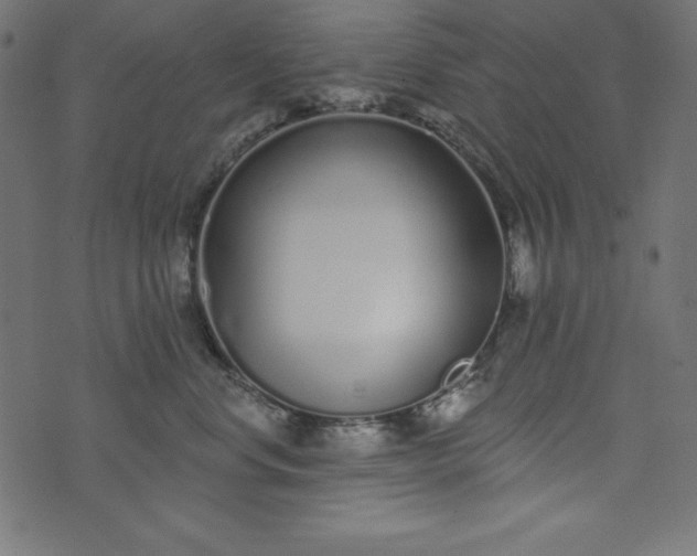 X0000073710668200608171139