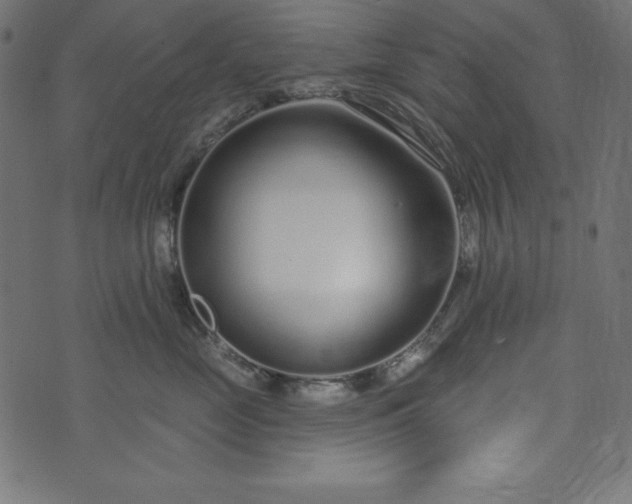 X0000073710669200608171139