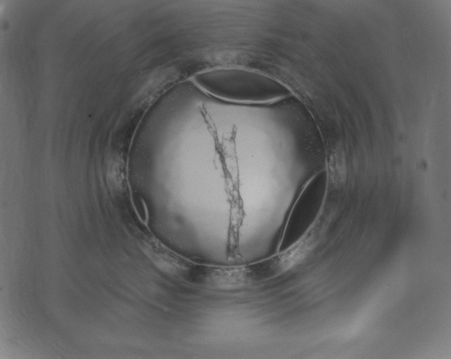 X0000073710671200608171139