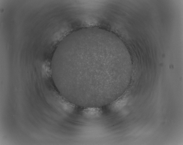 X0000073710672200608171139