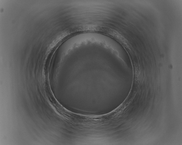 X0000073710674200608171139