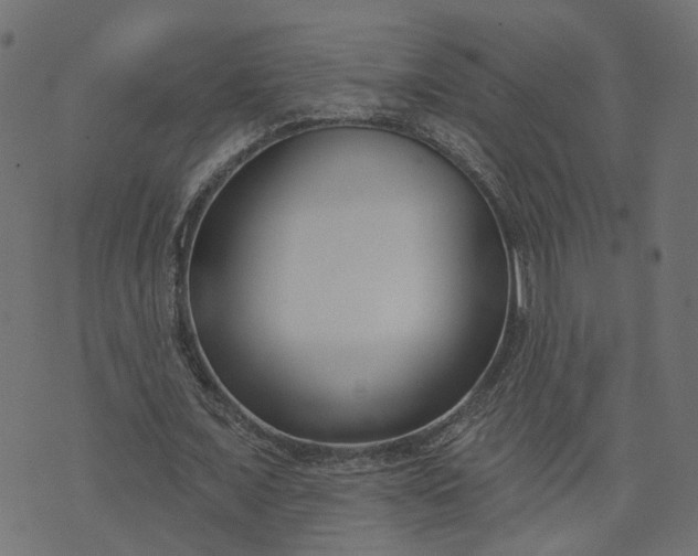 X0000073710675200608171139